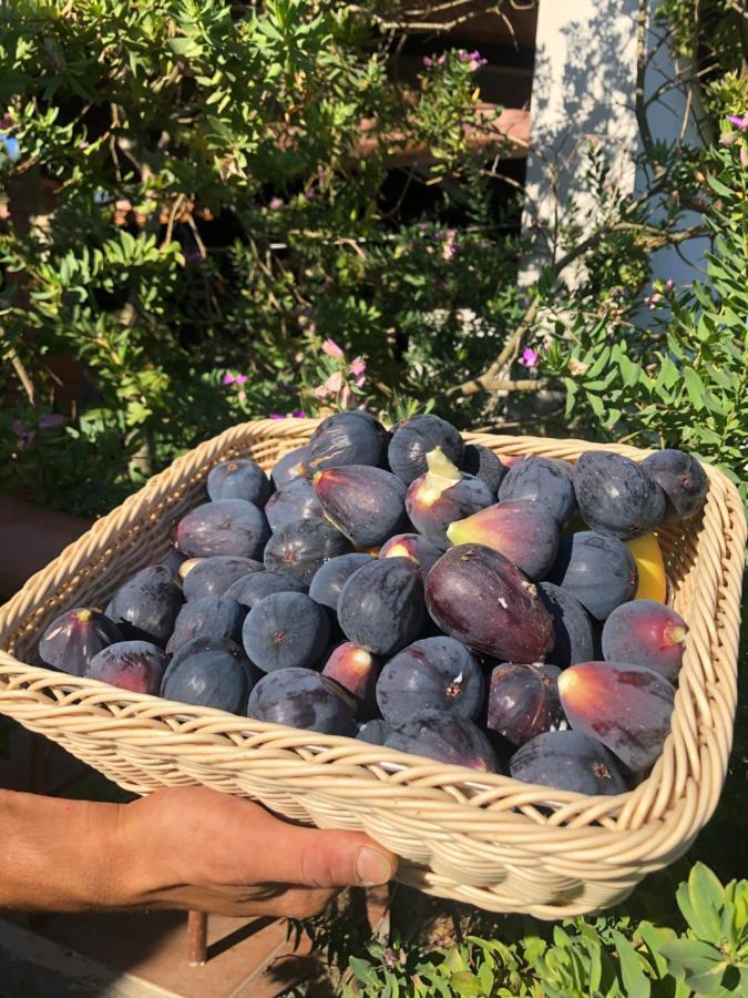 Agriturismo Is Cortillaris Càbras Kültér fotó